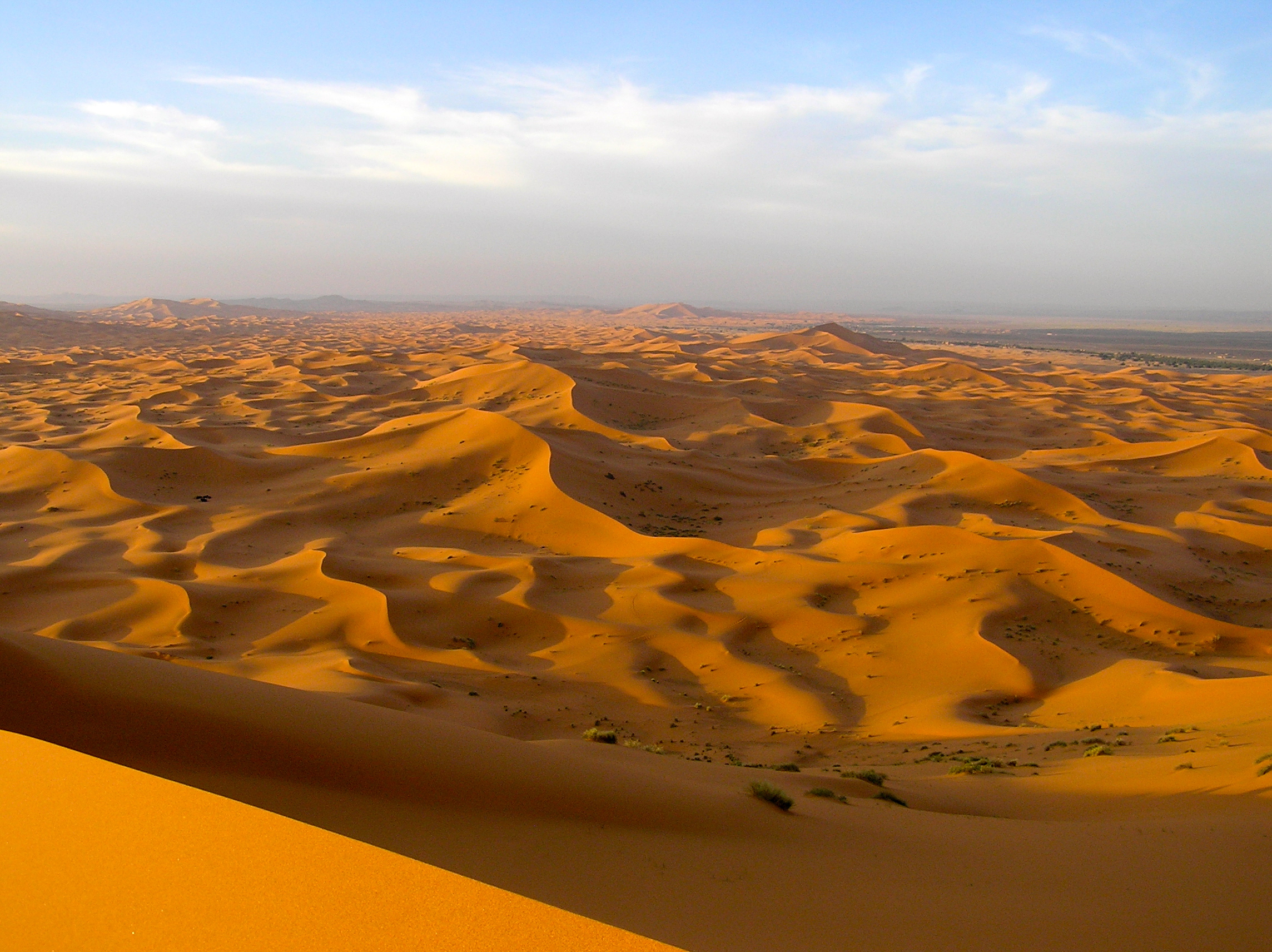 Самая большая пустыня на планете земля. Пустыня малый Нефуд. Пустыня Каракум Оазис. Африка пустыня сахара. Рын-Пески пустыня.