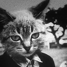 Аватар пользователя Stasey