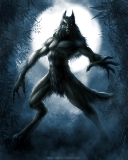 Аватар пользователя WerewolfUA