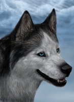 Аватар пользователя Heko