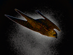 Аватар пользователя Falcon