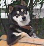 Аватар пользователя Araron