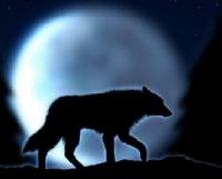 Аватар пользователя vhodnoylogin