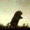 WalkerФотография %s