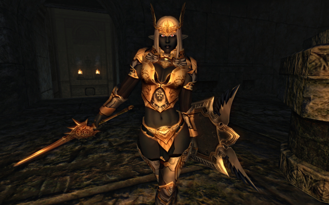 Imperial Crusader Armor 02