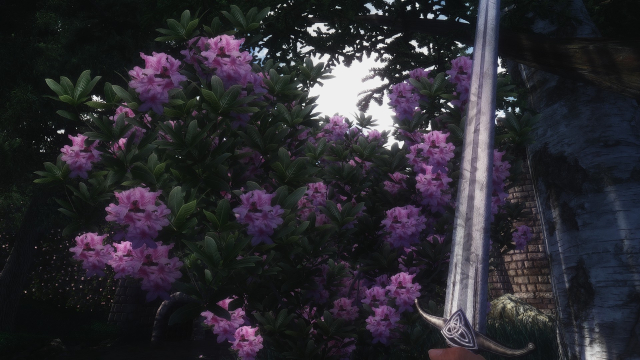 Azalea