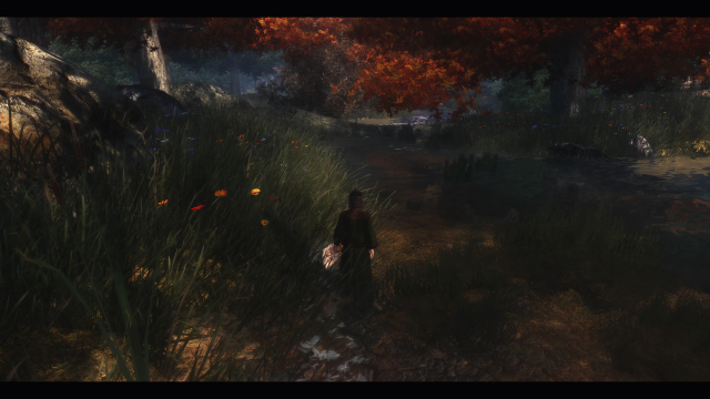 Panther River ~ Fort Redwater