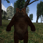 Медвед Грызля