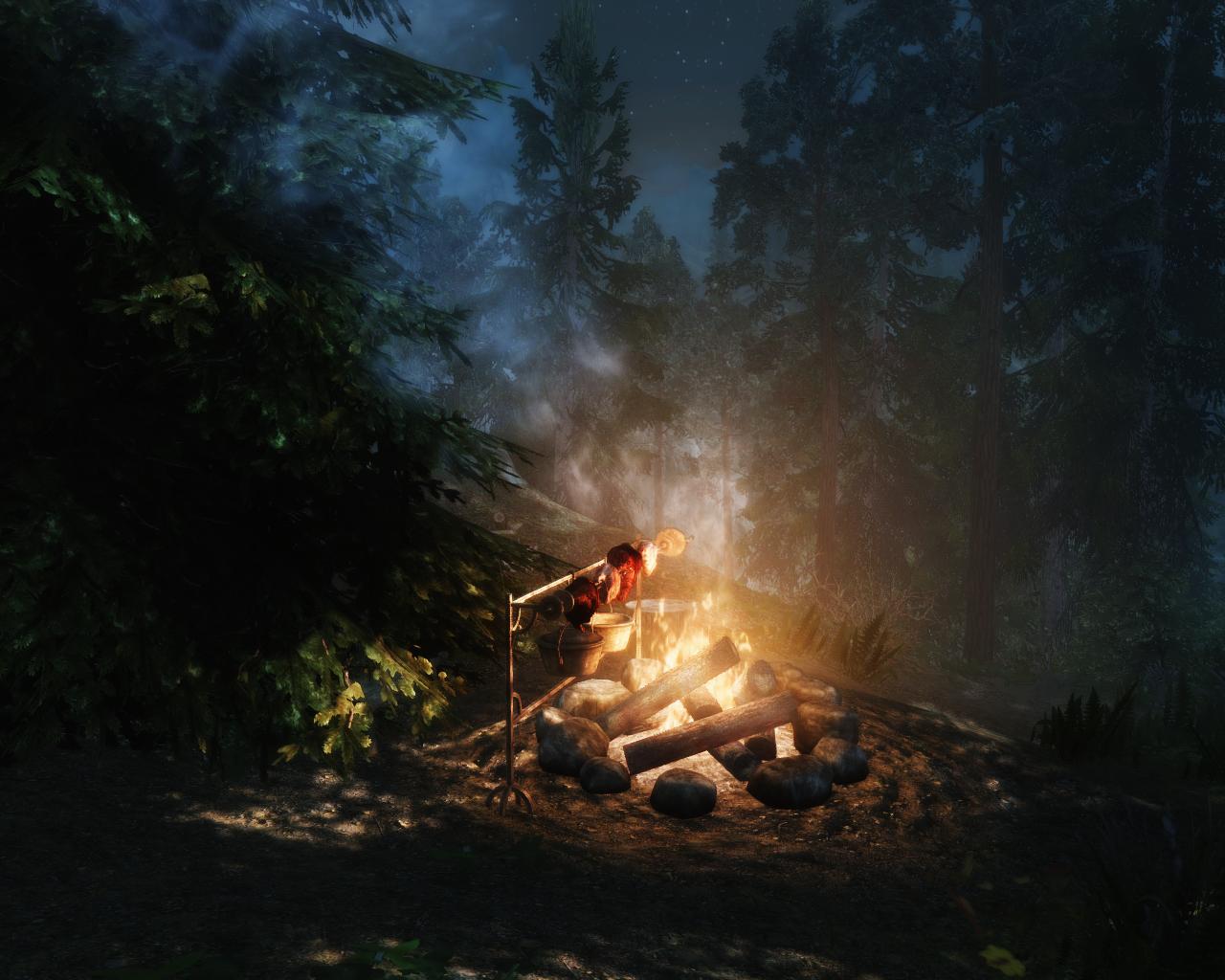 Благодаря компасу путники вышли на поляну. Лагерь у костра ДНД. Campfire скайрим. Скайрим лагерь у костра. Костёр в лесу ночью.