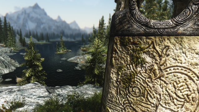 RealVision ENB