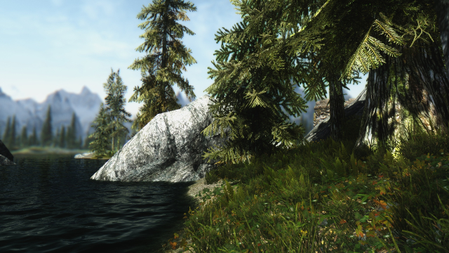 RealVision ENB 4