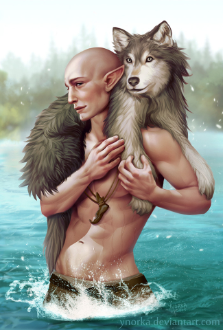 Solas with a wolf
