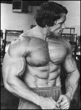 arnold-schwarzenegger-bodybuilding.jpg - Размер: 26,64К, Загружен: 316
