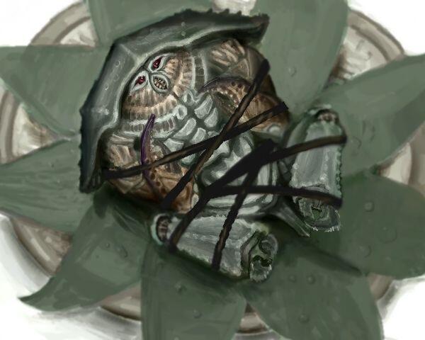 Fallout