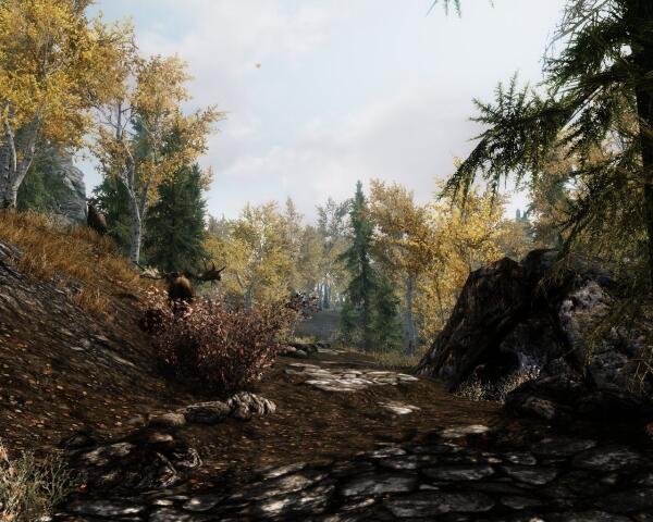 ScreenShot 29