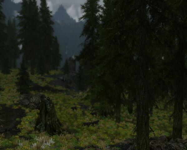 ScreenShot 44
