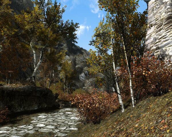 ScreenShot 51