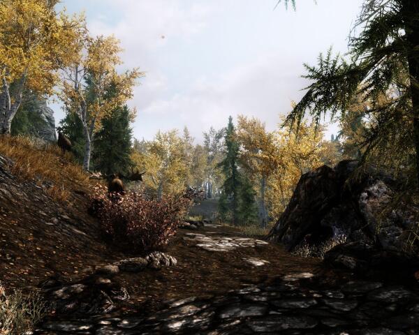 ScreenShot 61