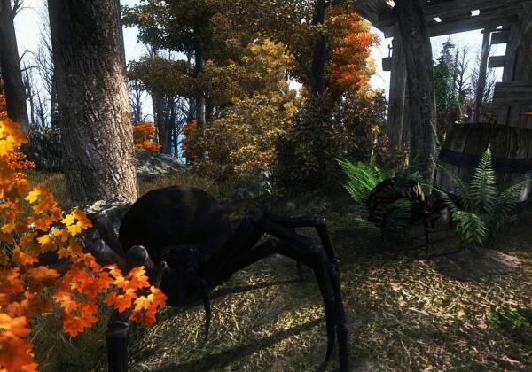 Oblivion: Andoran