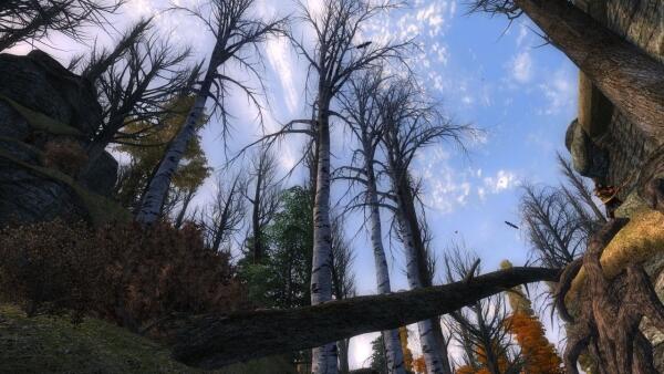 Oblivion: Andoran