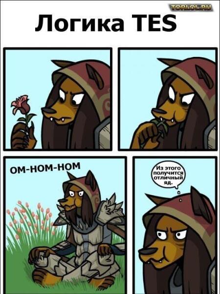 Логика TES