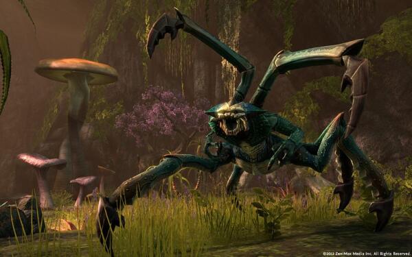 Скриншот The Elder Scrolls Online