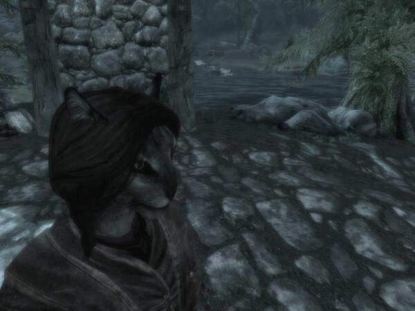 ScreenShot10