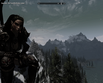 ScreenShot17