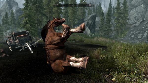Horse