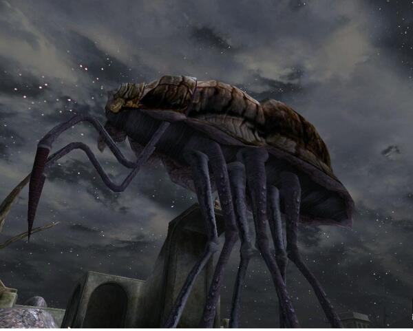 знакомство с моррой