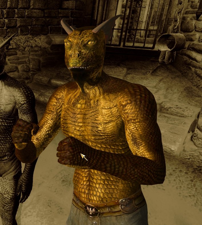 Golden Male Argonians
