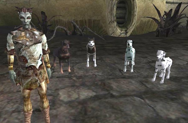 4 Dog Companions
