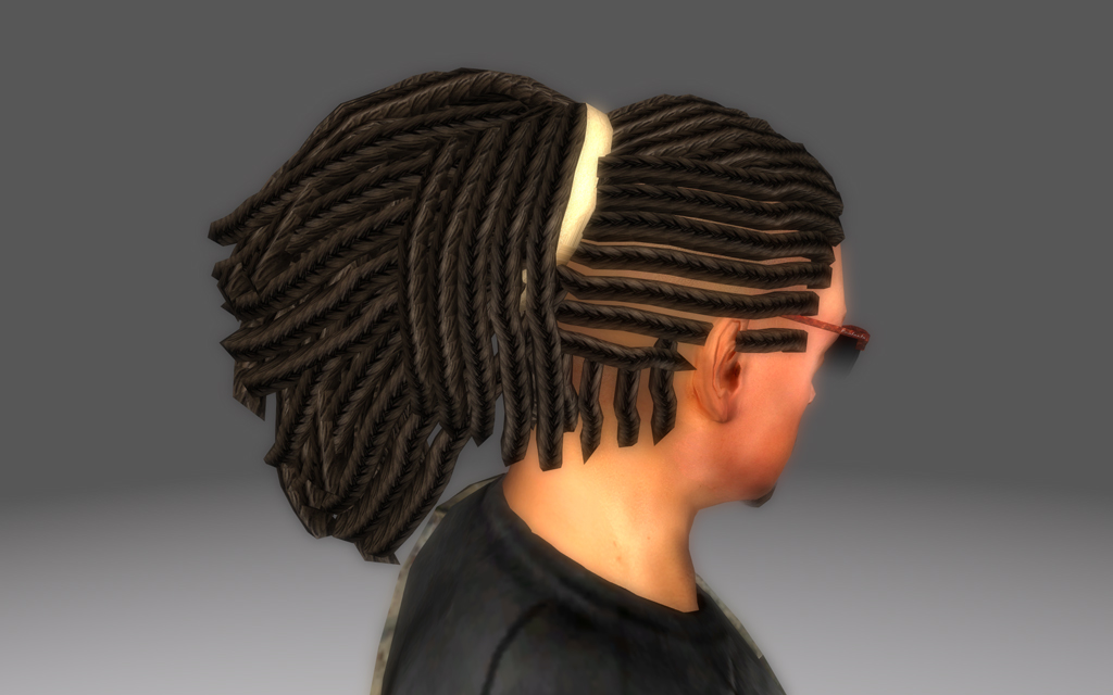 Braided Redguard Hair 