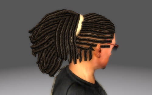 Подробнее о "Braided Redguard Hair"