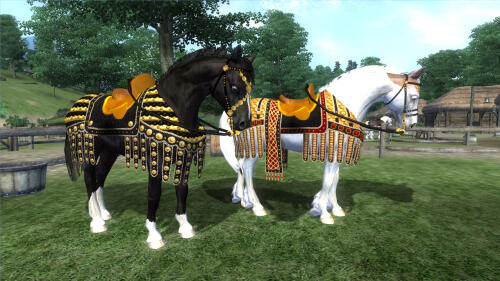 Подробнее о "Niben Bay Horse Ranch"