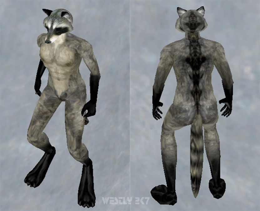 Tahnuk Races