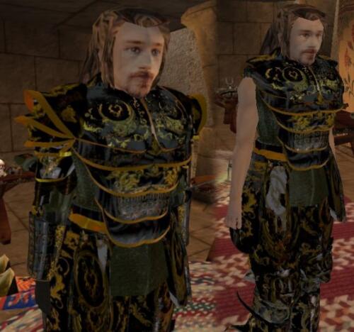 Подробнее о "Better Armor (Ebony)"