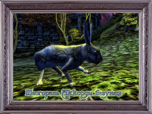 Подробнее о "Sheogorats accords of madness / Шеогорат: аккорды безумия"