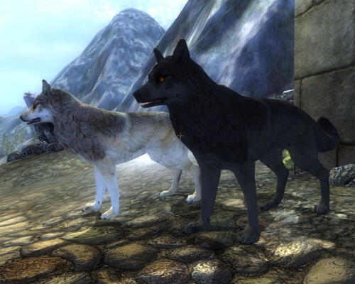 Подробнее о "Warg Riders"