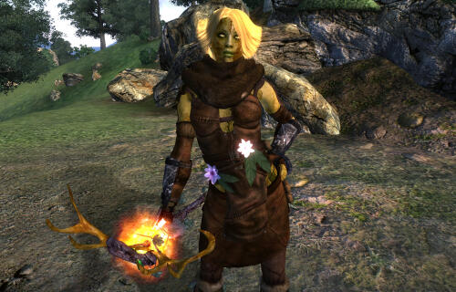 Подробнее о "Druid Armors and Weapons"
