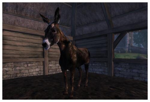 Подробнее о "Benjamin The Donkey"