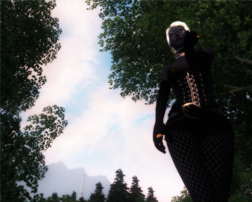 Подробнее о "Gothic Fetish Outfit"