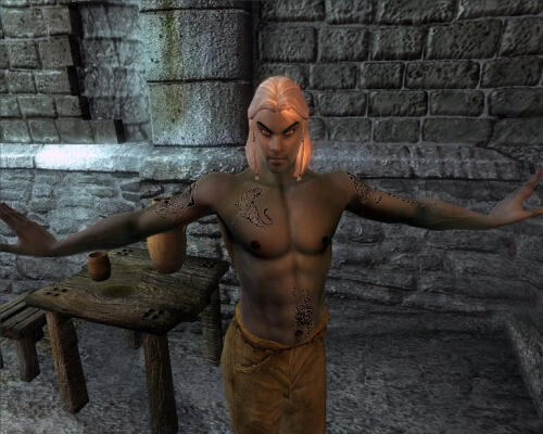 Подробнее о "BD_Tattooed_Male_Robert_V4"