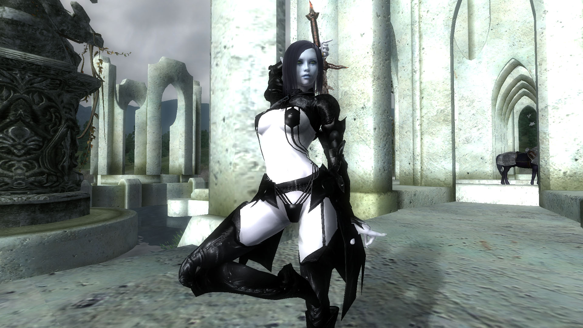 CM Partners: Moon Elves Companions