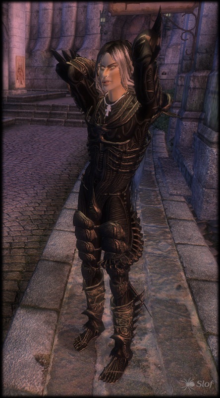 Slof's Giger Armour