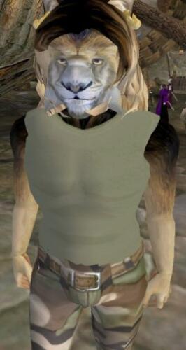 Подробнее о "Slof's Maned Khajiit"