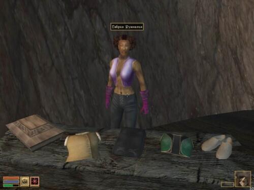 Подробнее о "Silaria's Clothing Vendor"