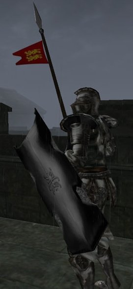 The Knight's Lance