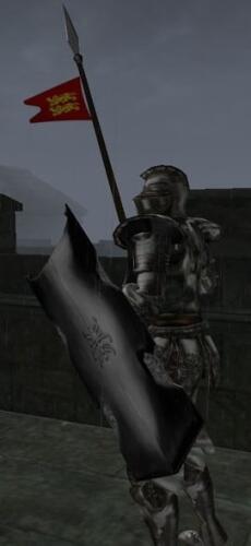 Подробнее о "The Knight's Lance"