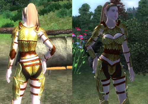 Подробнее о "UFF Elven Warrior Armor"